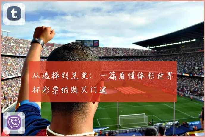 从选择到兑奖：一篇看懂体彩世界杯彩票的购买门道