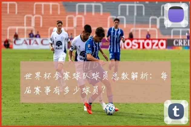 世界杯参赛球队球员总数解析：每届赛事有多少球员？